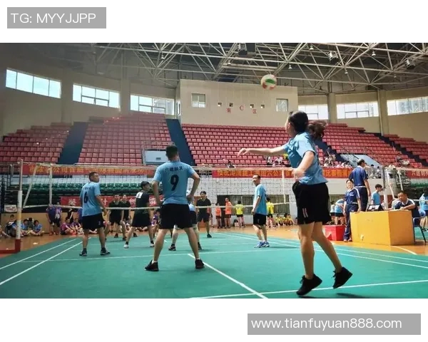 南京排球队选拔赛背后的拼搏故事与奋斗历程全景回顾